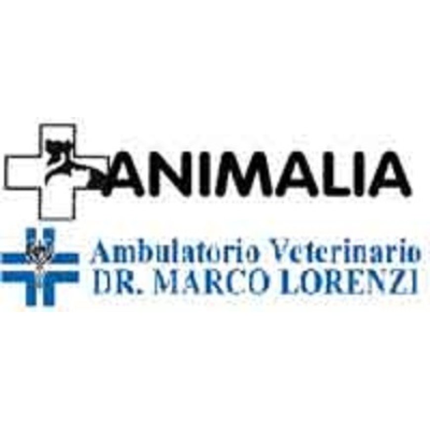 Mozzo Ambulatorio Veterinario Dr. Marco Lorenzi 035 461946