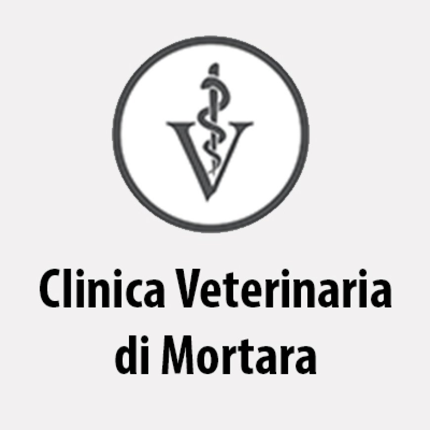 Mortara Clinica Veterinaria Città di Mortara 0384 93330