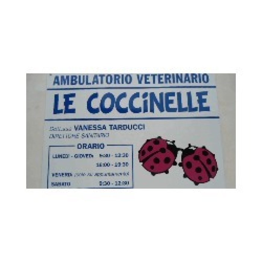 Mogliano Ambulatorio Veterinario Le Coccinelle 0733 557654