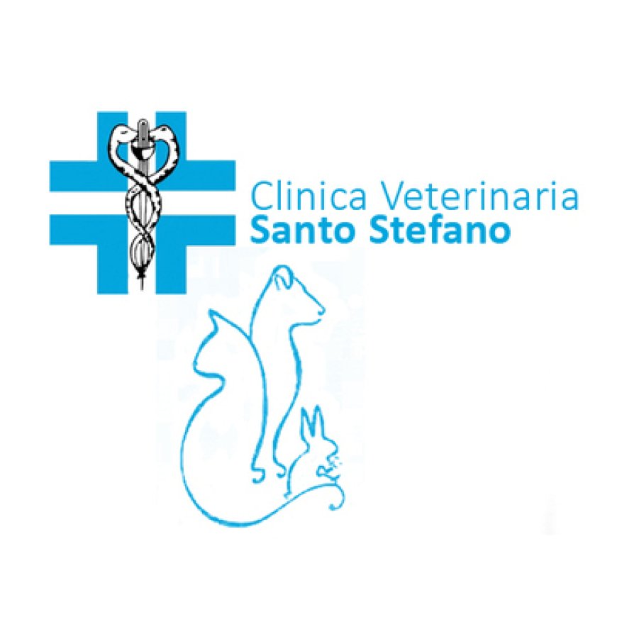 Milano Clinica Veterinaria Santo Stefano 02 36507923