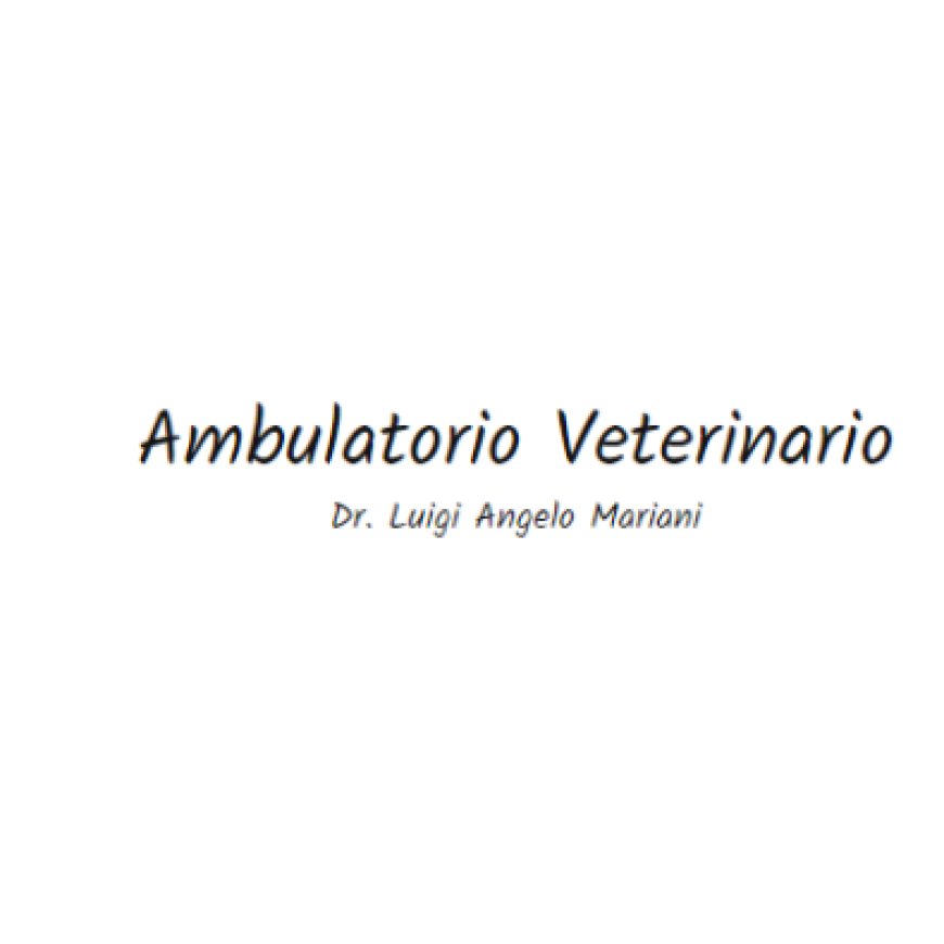 Milano Ambulatorio Veterinario Dott. Mariani Luigi Angelo 02 316562