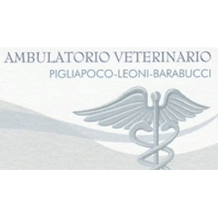 Macerata Ambulatorio Veterinario Associato Pigliapoco Leoni Barabucci 0733 270160