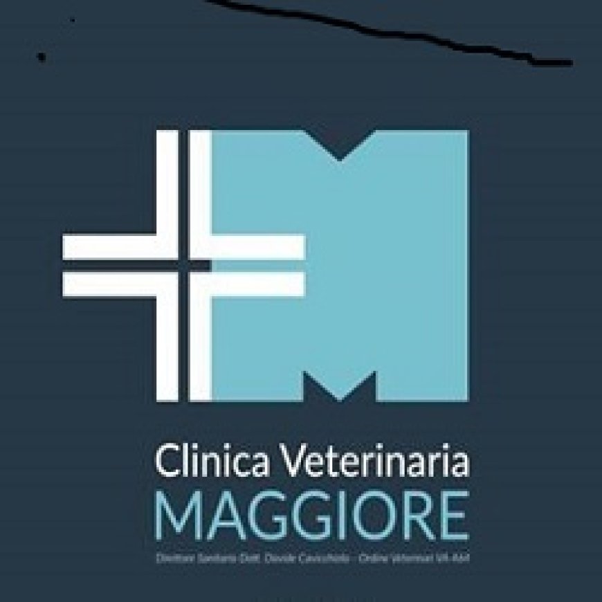 Luino Clinica Veterinaria Maggiore 0332 1699180