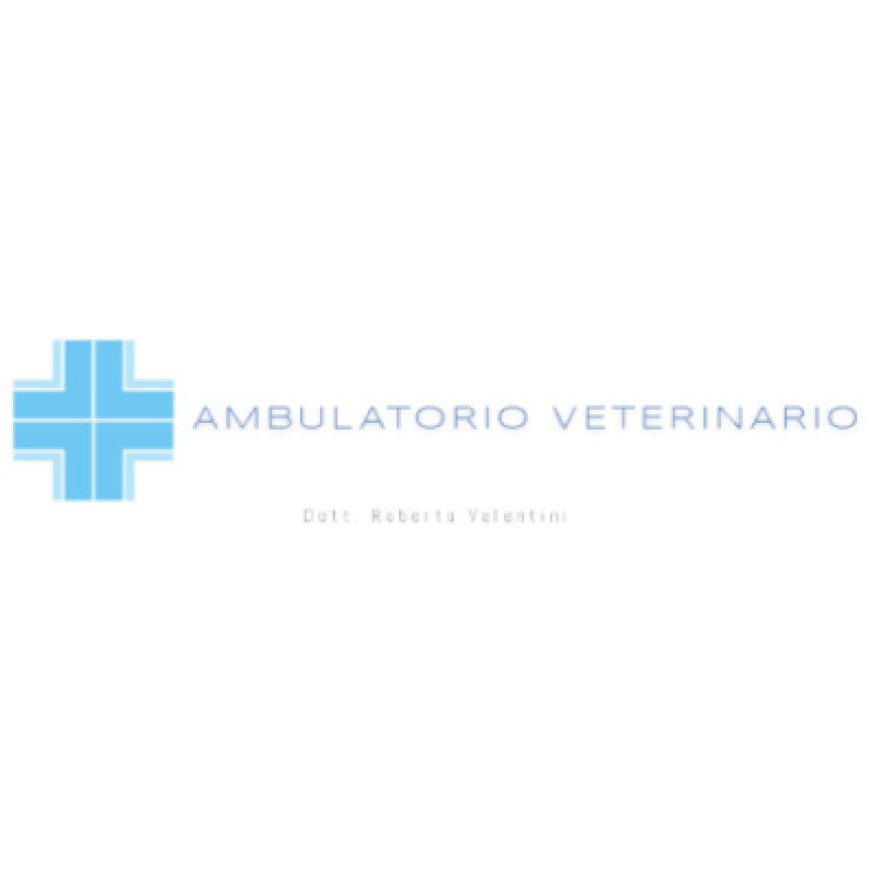 Limbiate Ambulatorio Veterinario Dr. Roberto Valentini 02 99481374