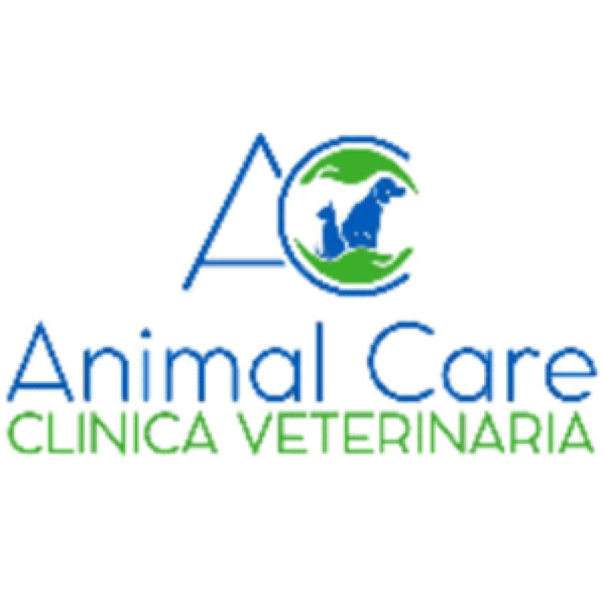 Legnano Clinica Veterinaria Animal Care 0331 598708