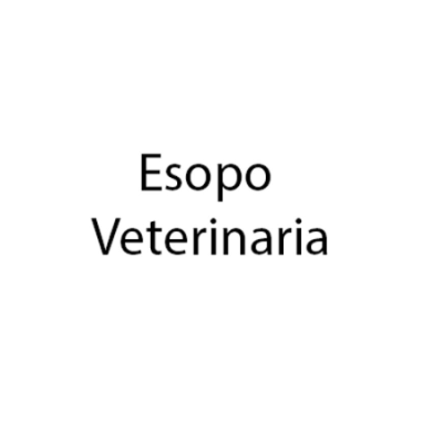 Latina Esopo Veterinaria Maria Luigia Dott.ssa Ferdinandi 0773 607041