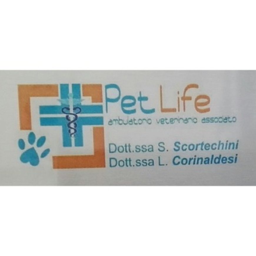 Jesi Ambulatorio Veterinario Pet Life 0731 720176