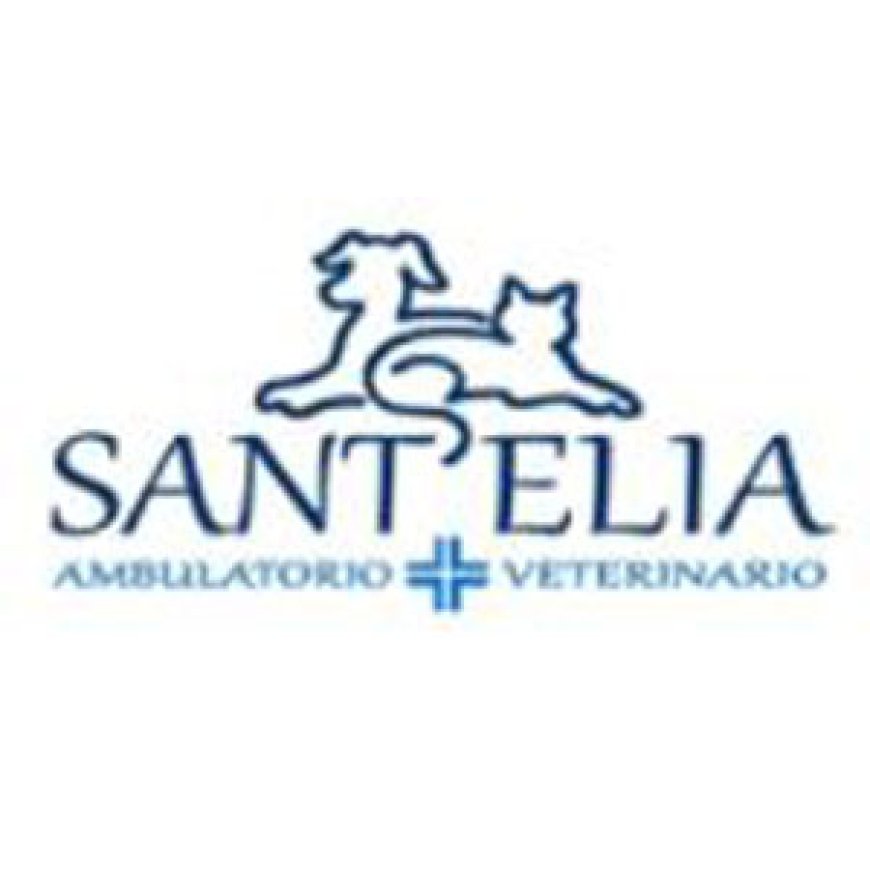 Inverno e monteleone Ambulatorio Veterinario Sant&#039;&#039;Elia 0382 70615