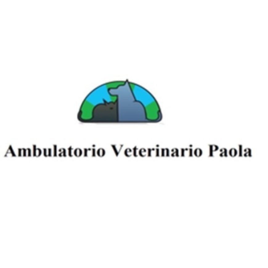 Inverigo Ambulatorio Veterinario Paola 031 2077134