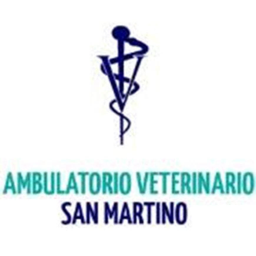 Garbagnate monastero Ambulatorio Veterinario San Martino 031 853404