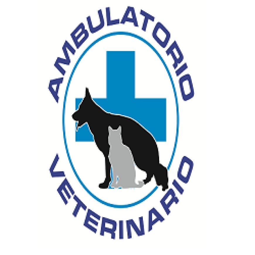 Frattocchie Ambulatorio Veterinario La Nave - Frattocchie/ Marino 331 3514323