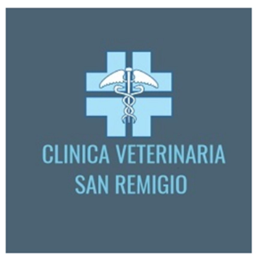 Formia Clinica Veterinaria S. Remigio 338 6156308