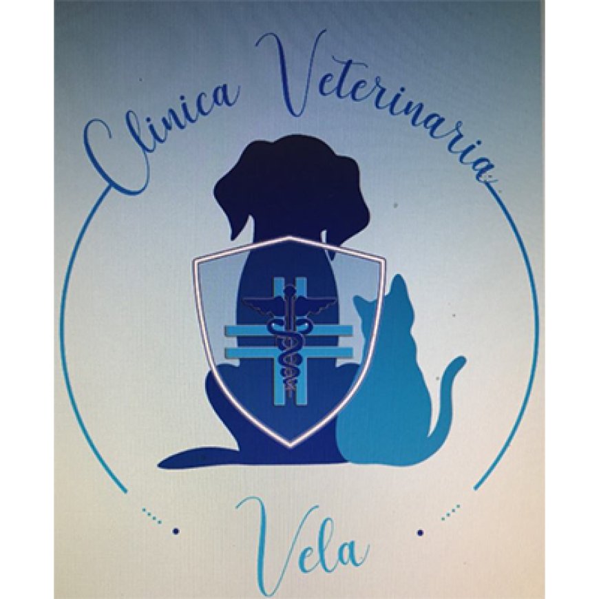 Fondi Clinica Veterinaria Vela 0771 502310