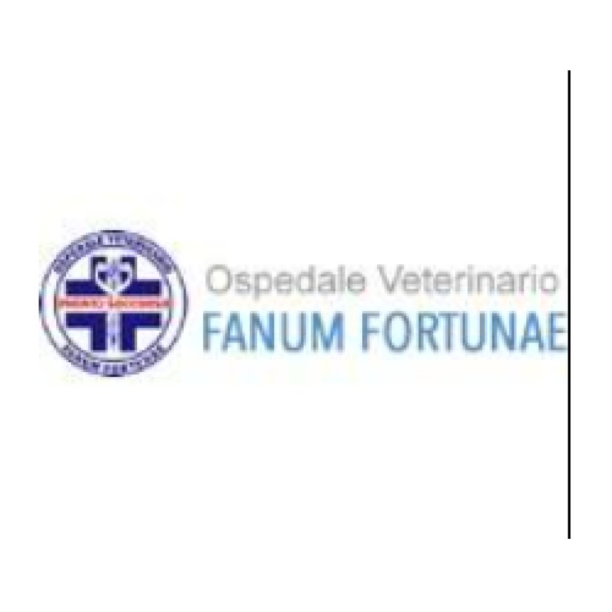 Fano Clinica Veterinaria Fanum Fortunae 0721 824482
