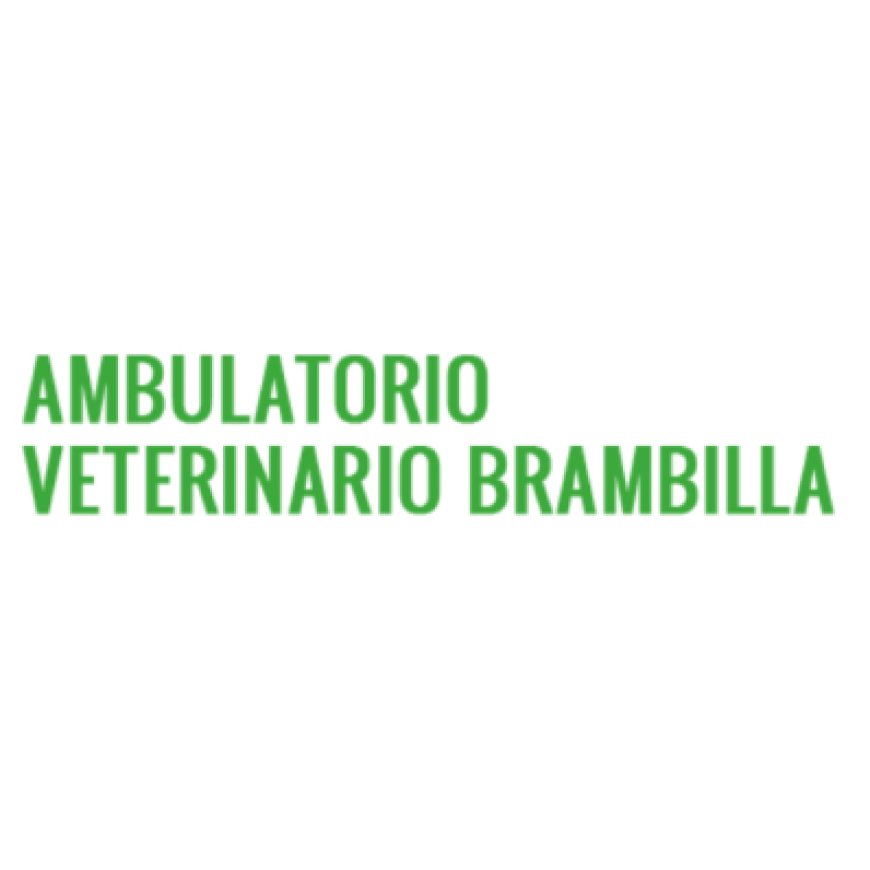 Cusano milanino Ambulatorio Veterinario Brambilla 02 66401028