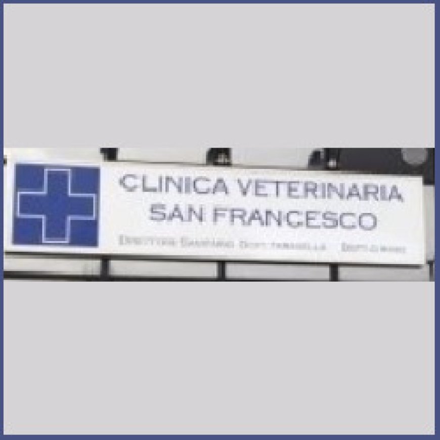 Crema Clinica Veterinaria San Francesco 0373 230614