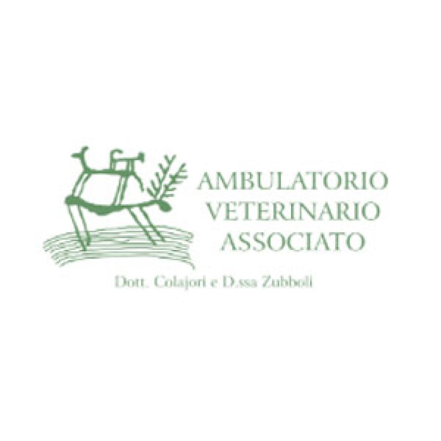 Costa volpino Ambulatorio Veterinario Associato di Colajori – Zubboli 035 972494