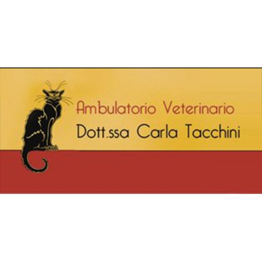 Clusone Ambulatorio Veterinario Dott.Sse Carla Tacchini e Julianna Boldizzoni 0346 641197