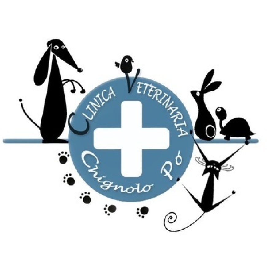 Chignolo po Clinica Veterinaria Chignolo Po 0382 766531