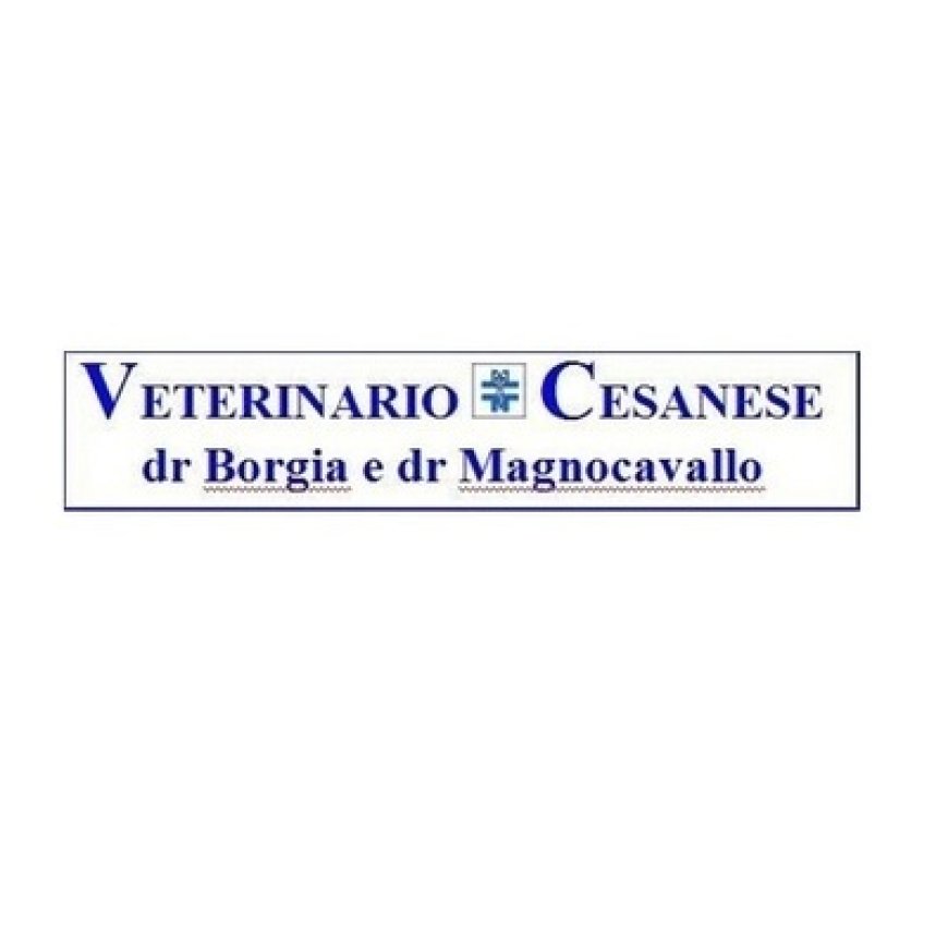 Cesano maderno Centro Veterinario Cesanese 0362 524361