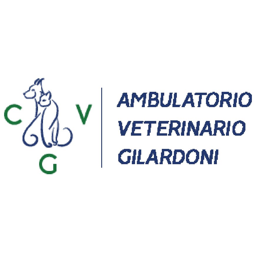 Cernobbio Ambulatorio Gilardoni S.r.l. 031 340369