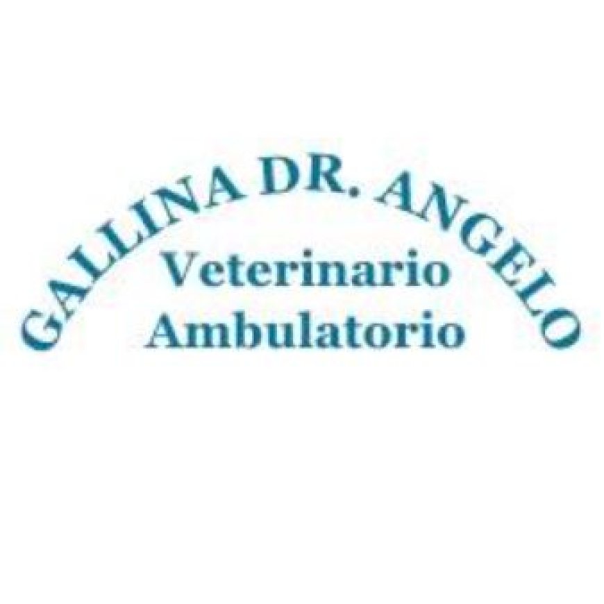 Castiglione delle stiviere Ambulatorio Veterinario Gallina Dott. Angelo 0376 730584