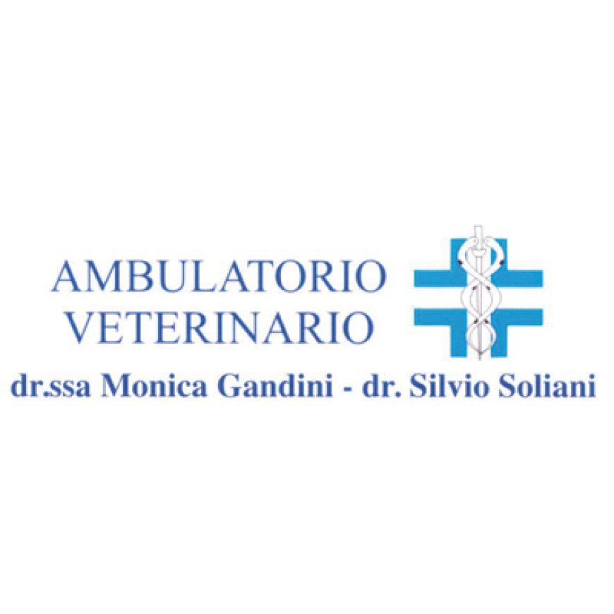 Castiglione delle stiviere Ambulatorio Veterinario Associato Gandini e Soliani 0376 632691