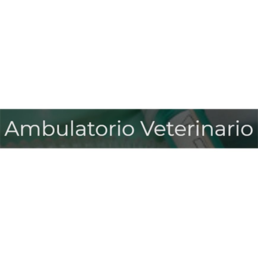 Castano primo Ambulatorio Veterinario Dr. Anselmi Angelo 0331 883110