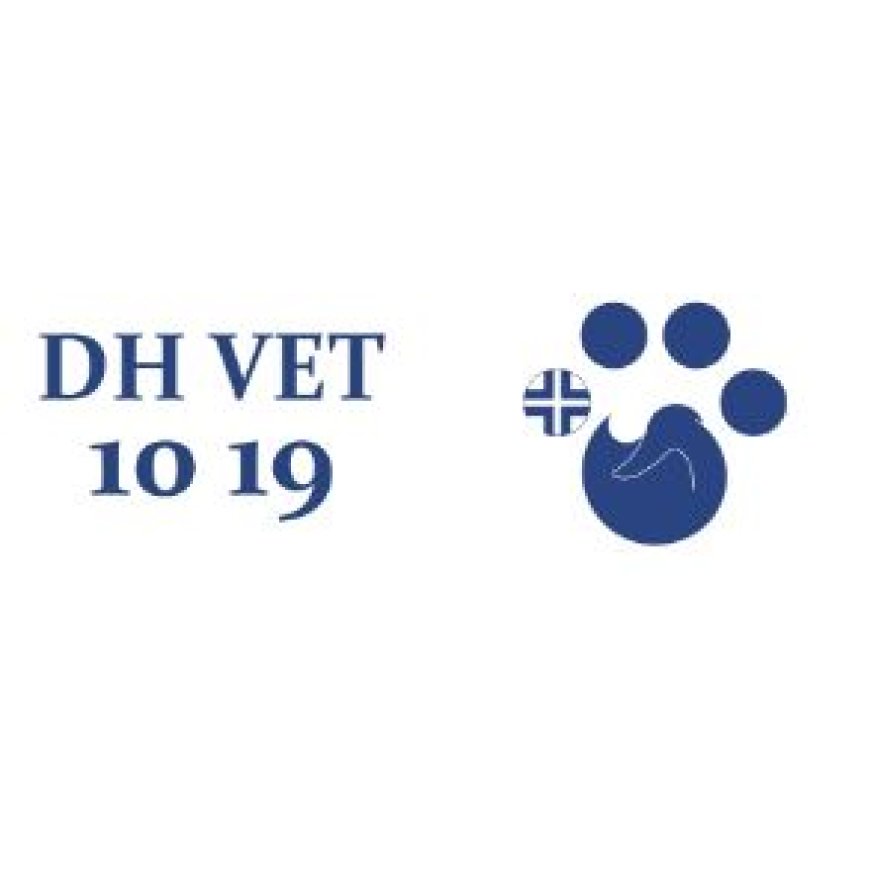 Castano primo Ambulatorio Veterinario Dh Vet 10 19 0331 880668