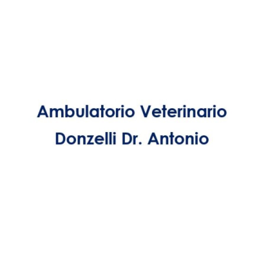 Casalmaggiore Ambulatorio Veterinario Donzelli Dr. Antonio 0375 43342