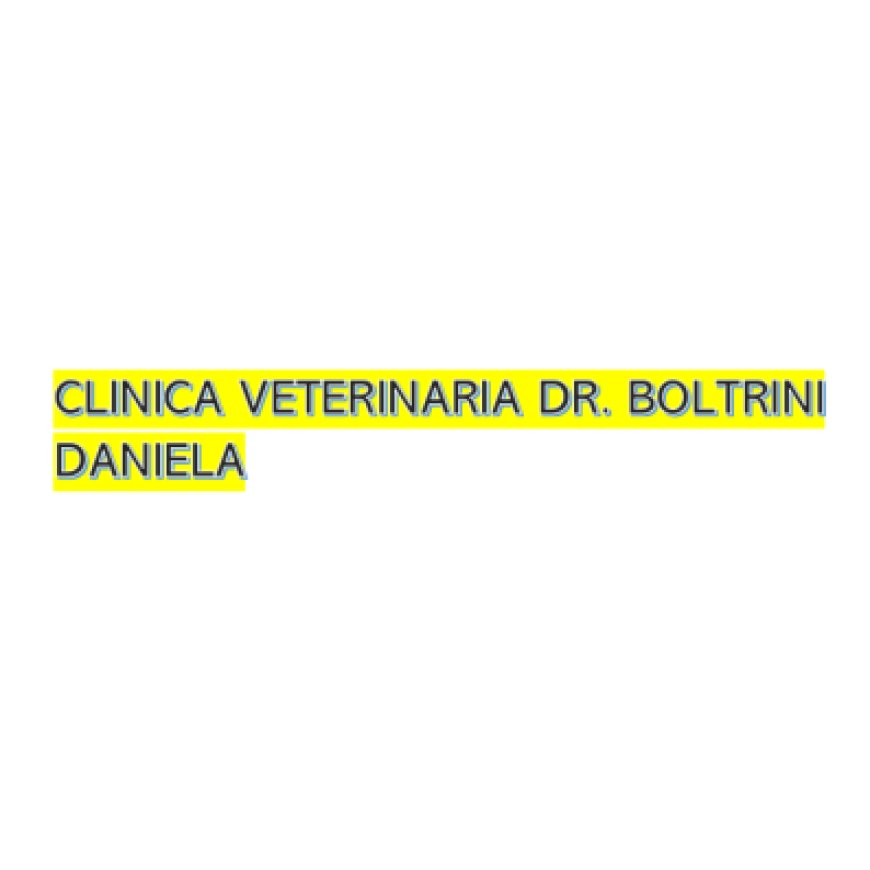 Caprarola Clinica Veterinaria Dr. Boltrini Daniela 0761 645155