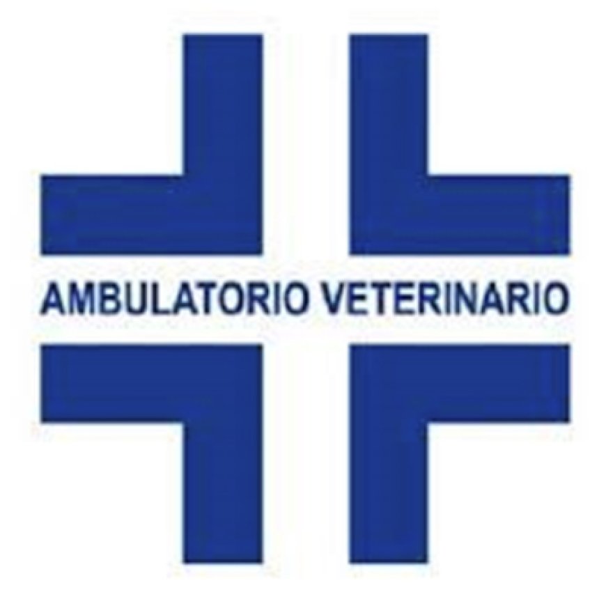 Capranica Ambulatorio  Veterinario  Dott.  Francesco Orsi 338 6510119