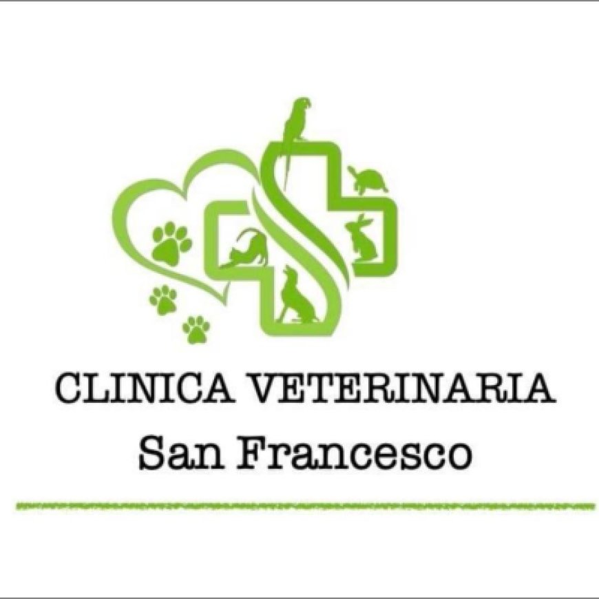 Cantù Clinica Veterinaria S. Francesco 031 733619