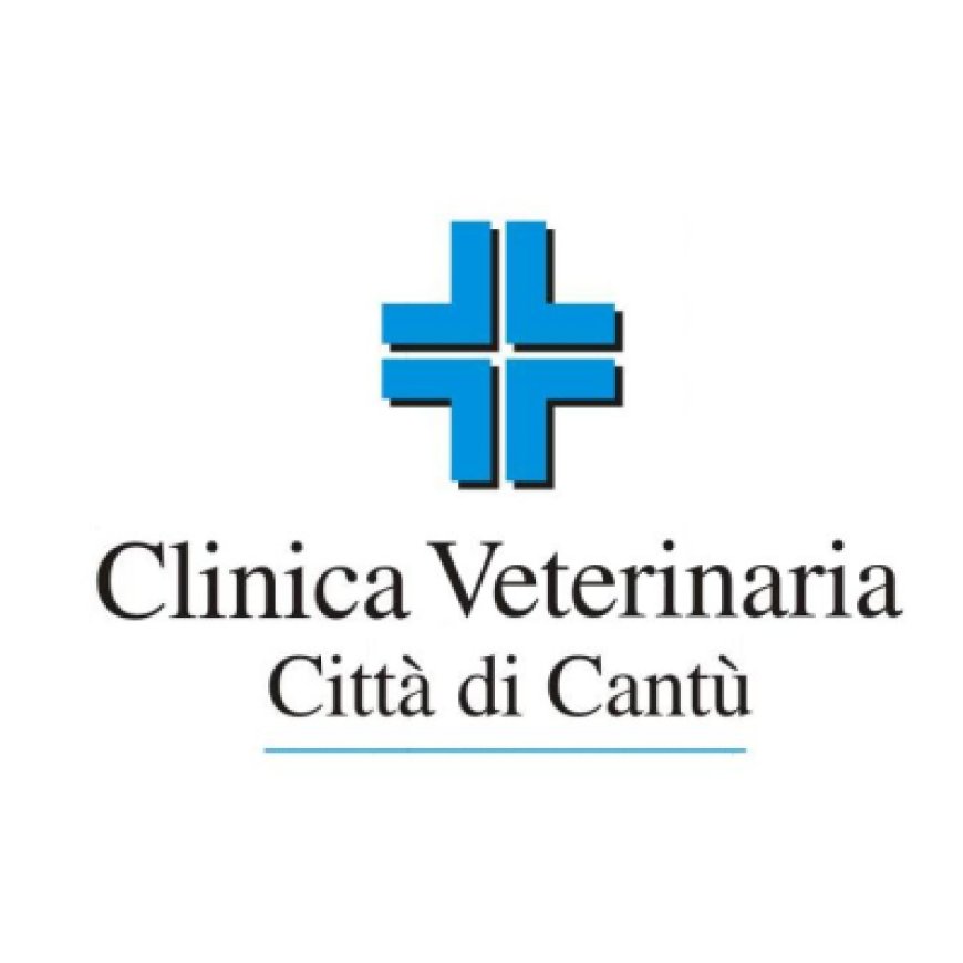 Cantù Clinica Veterinaria Città di Cantù 031 6870183