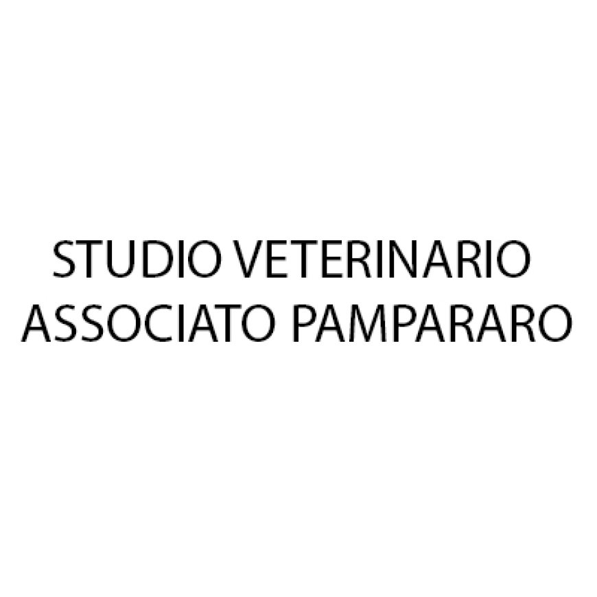 Calice ligure Studio Veterinario Associato Pampararo 019 65745