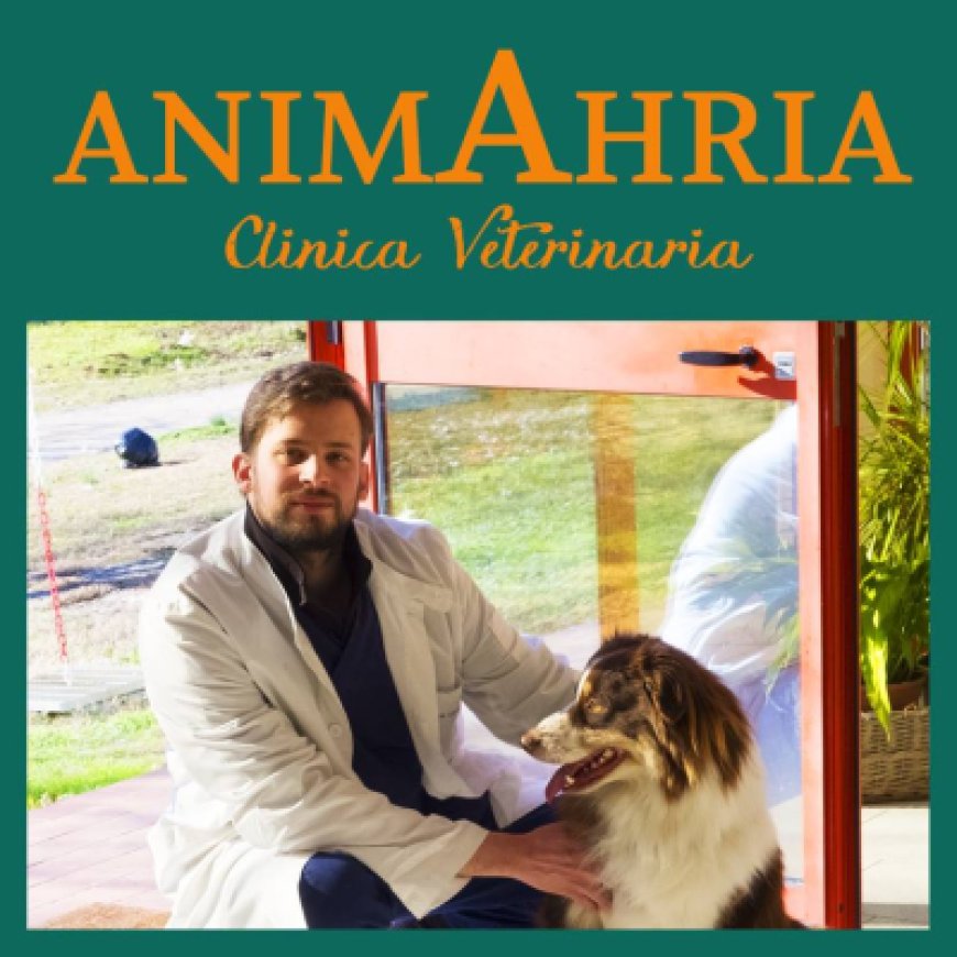 Calcinato Animahria - Clinica Veterinaria 030 9636192