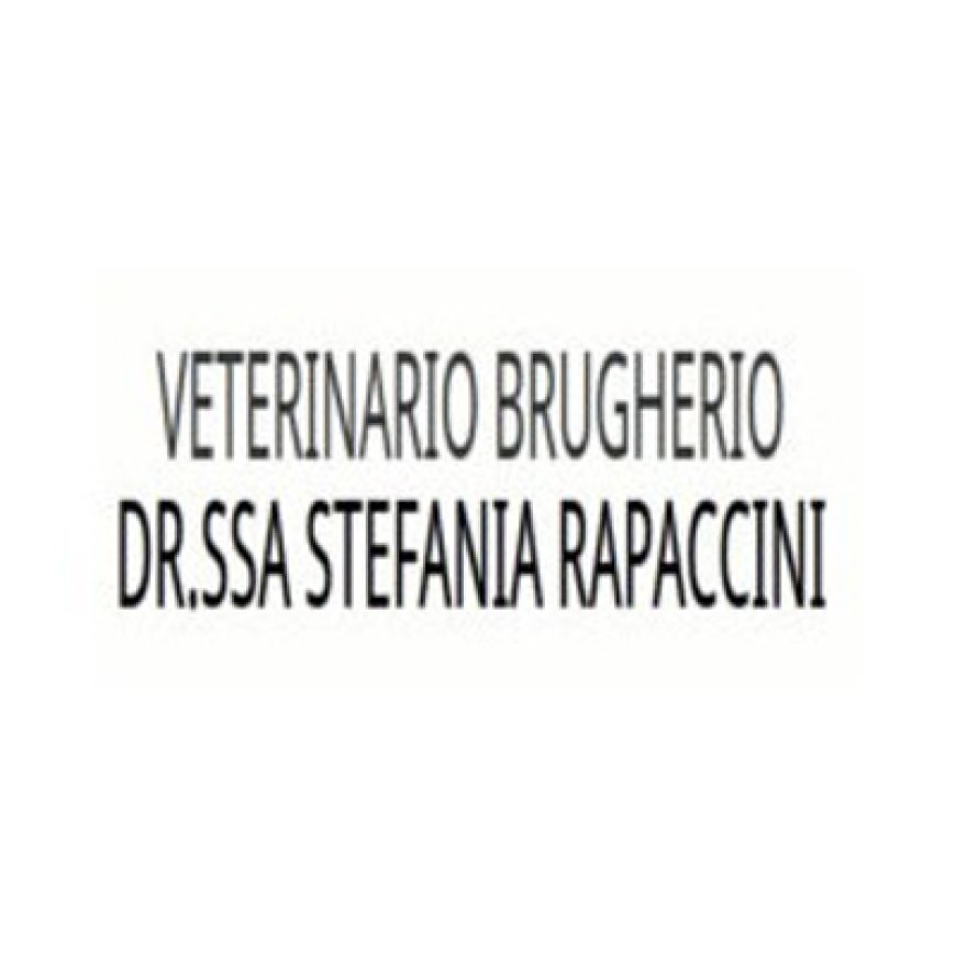 Brugherio Studio Veterinario Rapaccini 039 881088