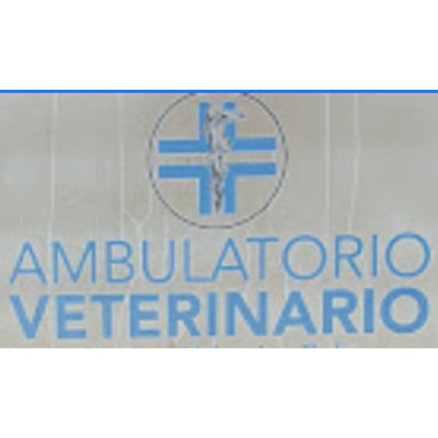 Broccostella Ambulatorio Veterinario Gulia Valentina 347 9342023