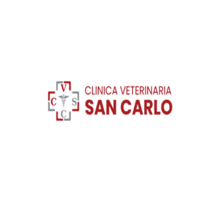 Brescia Clinica Veterinaria San Carlo - 030 316761