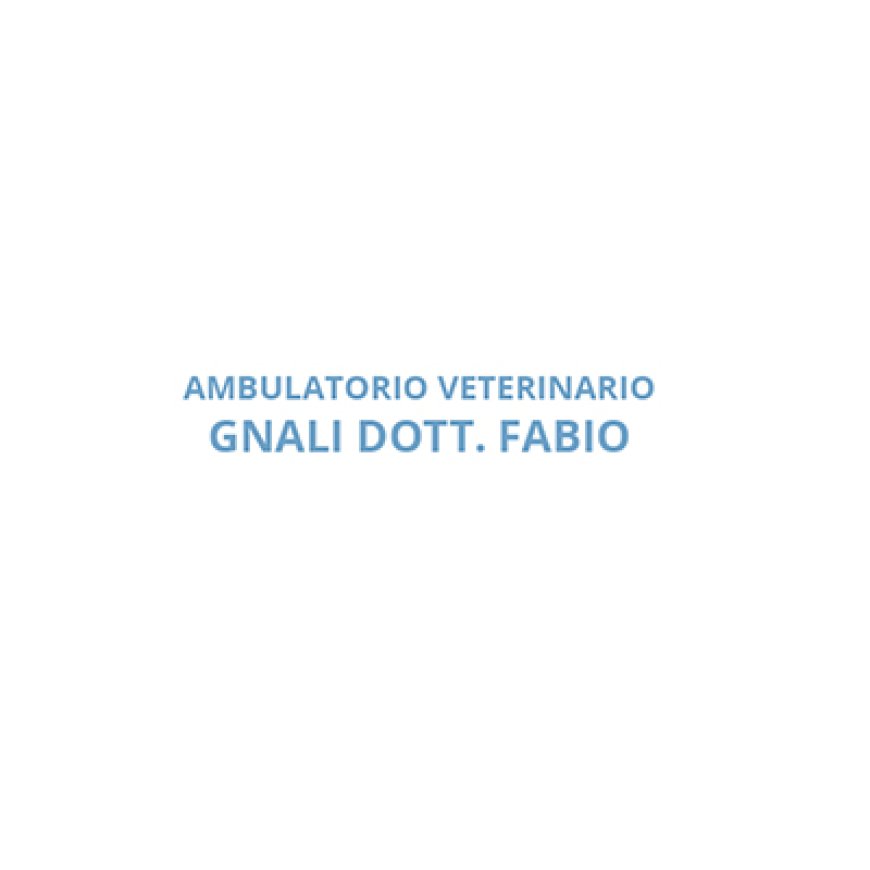 Brescia Clinica Veterinaria Gnali Dott. Fabio 030 318999