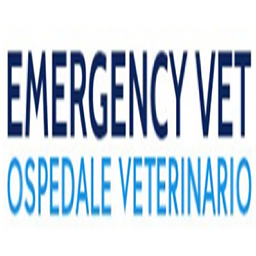 Bracciano Emergency Vet Ospedale Veterinario 06 99801005