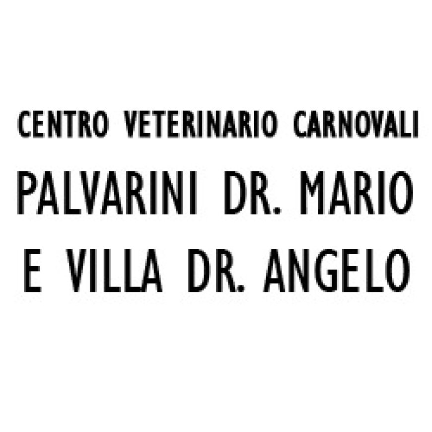 Bergamo Centro Veterinario Carnovali 035 316157