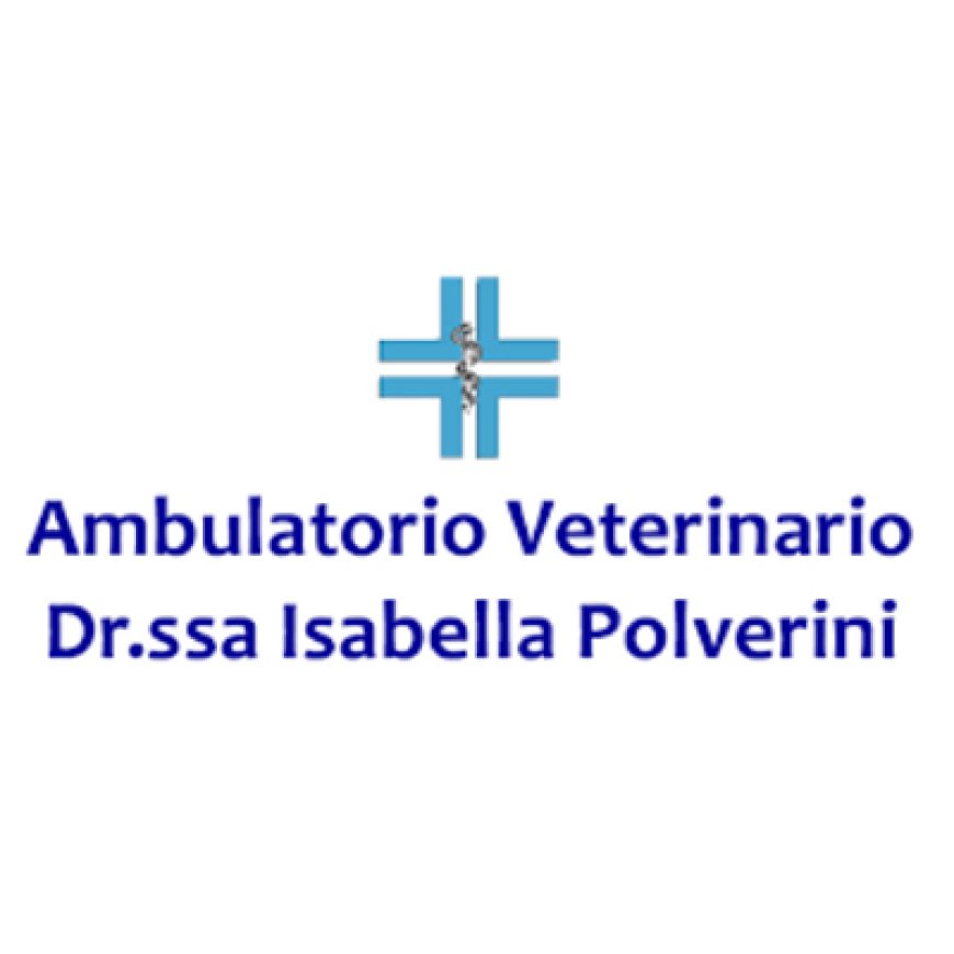 Ancona Ambulatorio Veterinario Polverini Dr.ssa Isabella 071 9068055