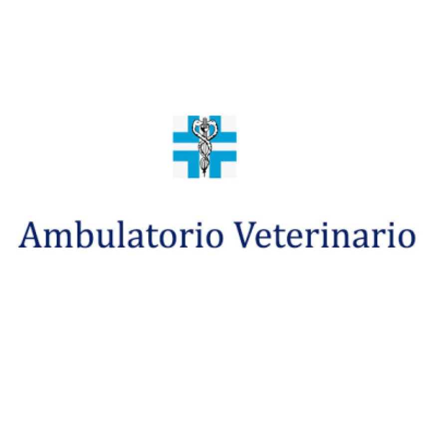 Ancona Ambulatorio Veterinario Altamura Mengani Piangerelli 071 33623