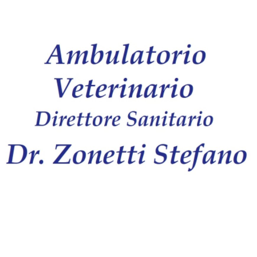 Albano laziale Ambulatorio Veterinario Zonetti 06 9323426