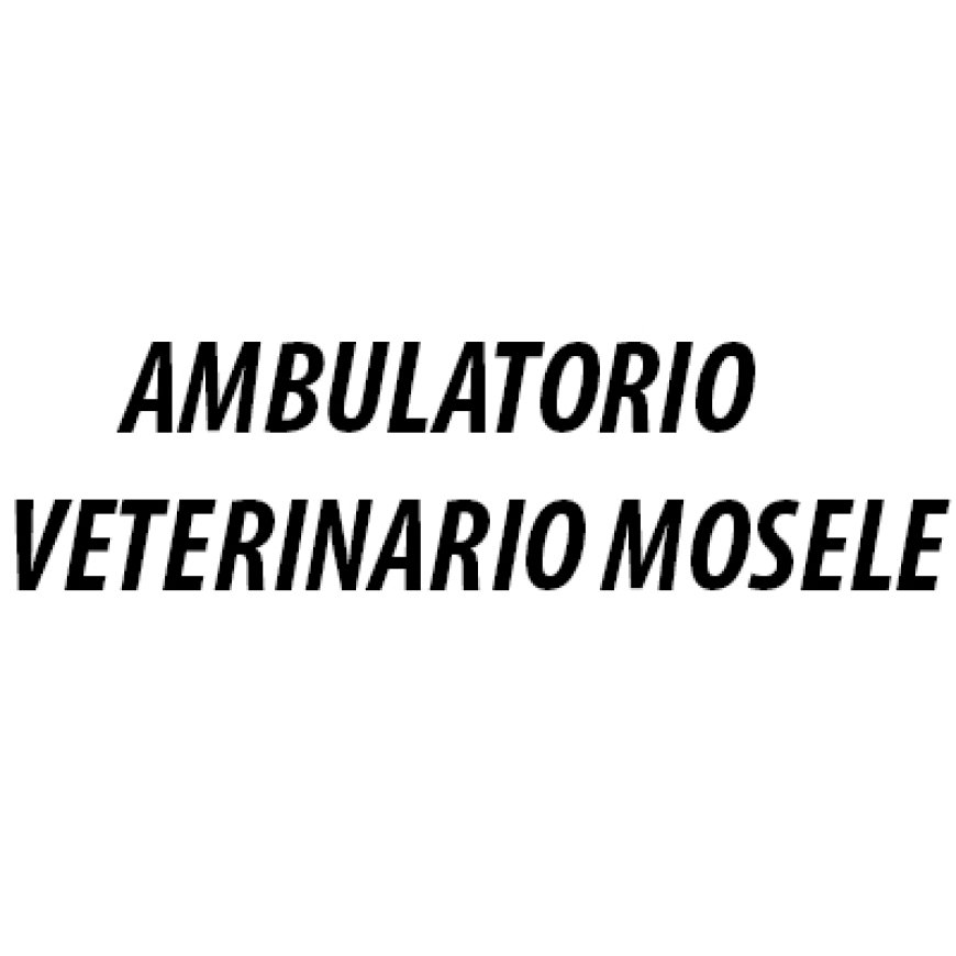 Zevio Ambulatorio Veterinario Mosele 045 7850612