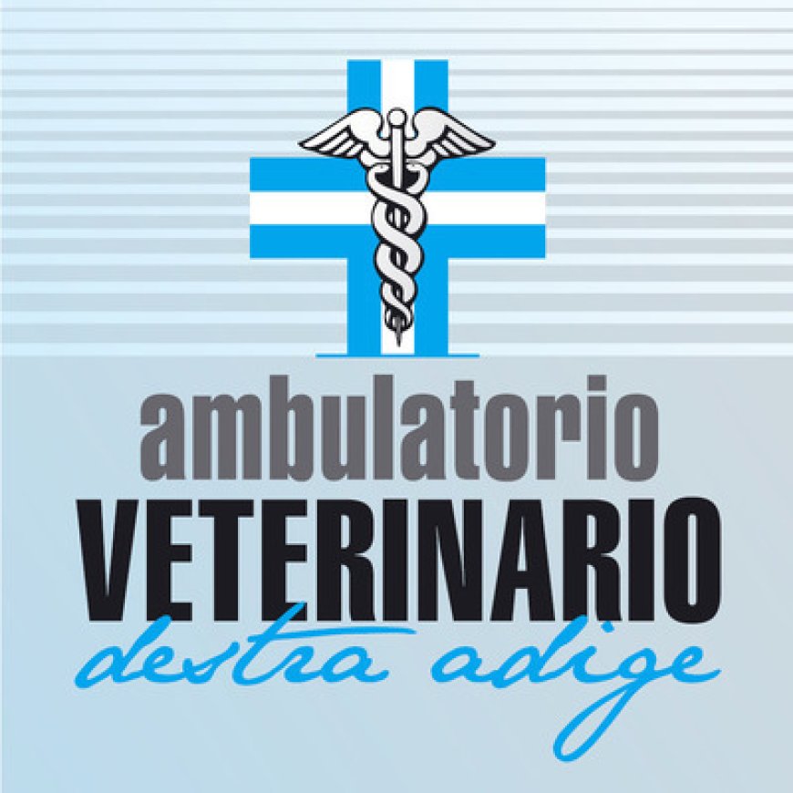 Villa lagarina Clinica Veterinaria Destra Adige 0464 414949