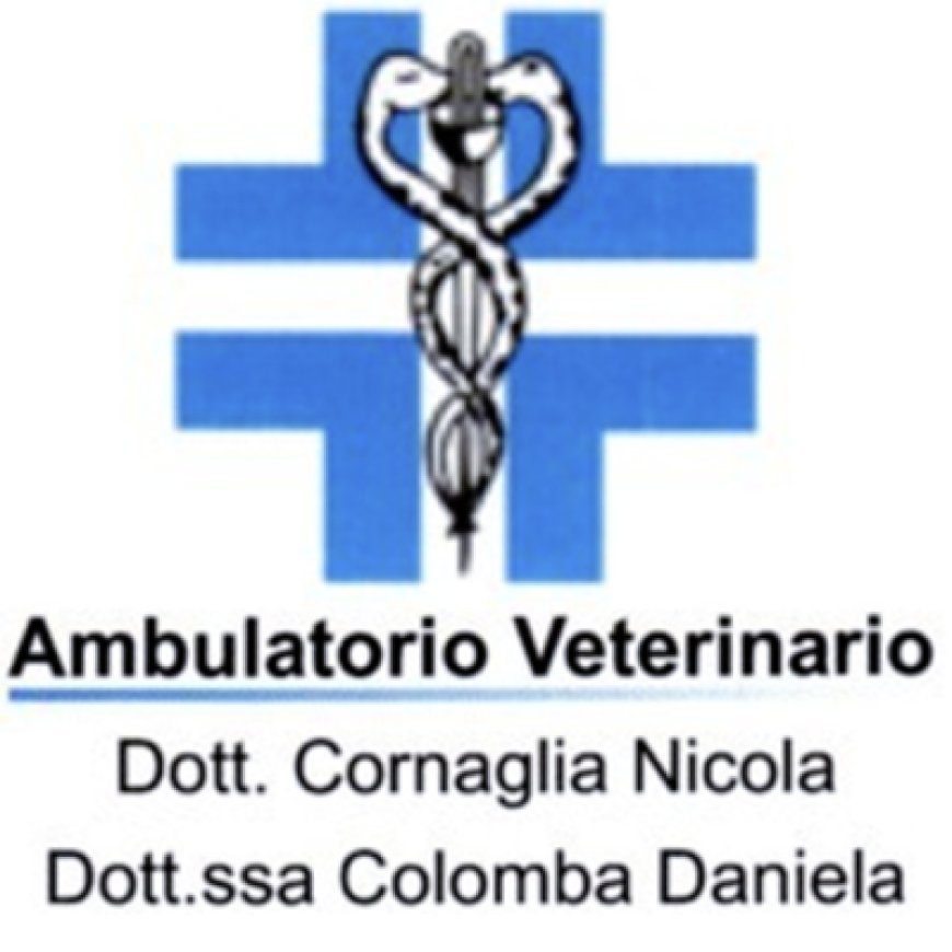 Verzuolo Ambulatorio Veterinario Associato Colomba e Cornaglia 0175 289097