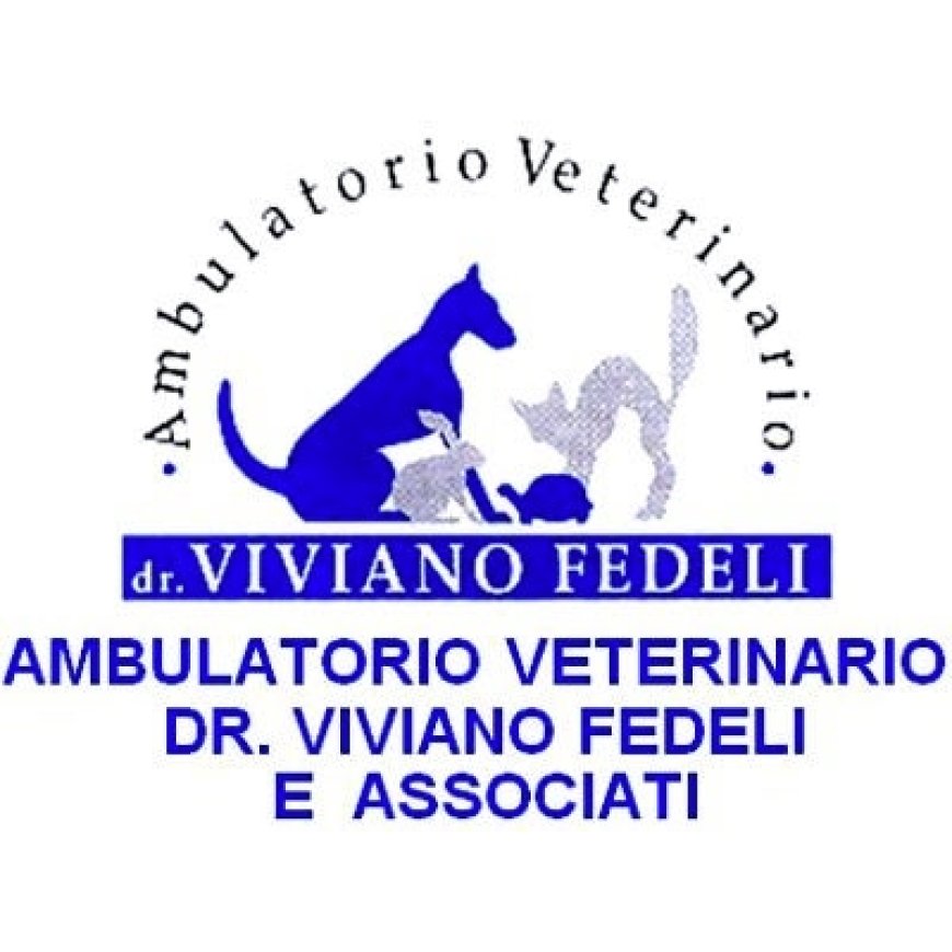 Verona Clinica Veterinaria Dr. Fedeli Viviano &amp;amp; Associati 045 8069029