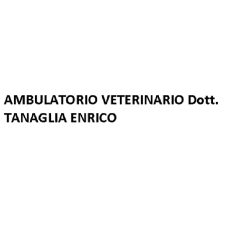 Verona Ambulatorio Veterinario Dott. Tanaglia Enrico 045 8205027